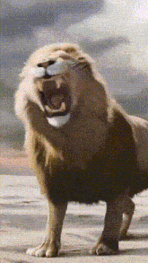 a lion with its mouth wide open standing on a sidewalk