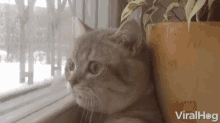 Ponder Thinking GIF - Ponder Thinking Looking Out Window GIFs