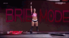 Brie Bella GIF - Wrestling Wwe Fight GIFs