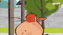 a cartoon of a pig wearing a red hat with the word ok on the bottom