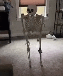 GIF