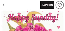 Sunday Happy Sunday GIF - Sunday Happy Sunday Hearts GIFs