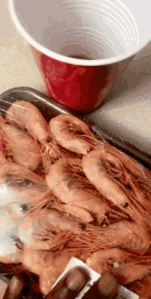 Crevettes Shrimp GIF - Crevettes Shrimp Seafood GIFs