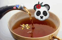 coffee panda tea