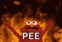 elmo is standing in front of a fire with the word pee written on it
