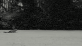 a black and white photo of a person laying on the ground in a field .