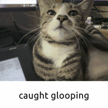 Glooping GIF - Glooping GIFs