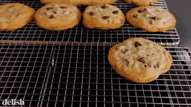 chocolate-chip-cookies-bake-goods.gif