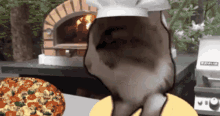 Cat Pizza GIF - Cat Pizza Chef GIFs
