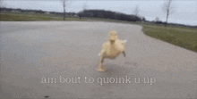 Quoink You GIF - Quoink You GIFs