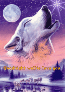 Wolf Wolfie GIF - Wolf Wolfie Goodnight GIFs