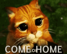 Come Home Cat GIF - Come Home Cat Lonely Eyes GIFs