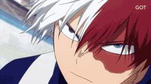 Ice Quirk GIF - Ice Quirk Todoroki Shouto GIFs