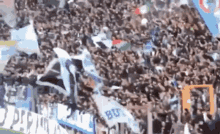Ss Lazio Curva Nord GIF - Ss Lazio Curva Nord Cheering GIFs
