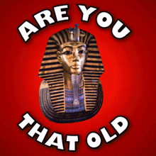 are you that old happy birthday boomer happy birthday king tut tutankhamun