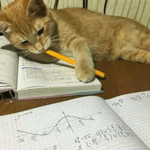 a cat with a pencil in its mouth is laying on a table with a book and a graph on it