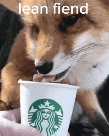 lean fiend lean fiend fox drink