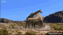 diplodocus sauropod fighting dinosaur wild animals