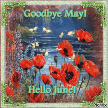 Hello June Goodbye May GIF - Hello June Goodbye May Flowers GIFs