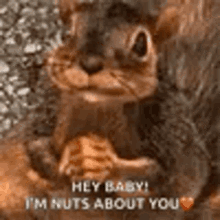 Explore you are nuts GIFs