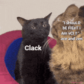 two cats are sitting next to each other and one of them says " clack "