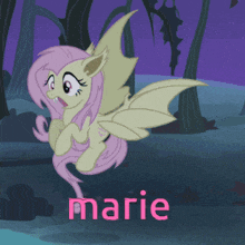 a cartoon of a pony with bat wings and the name marie