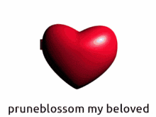 a picture of two hearts with the words pruneblossom my beloved