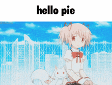 Hello Pie Wpok GIF - Hello Pie Hello Pie GIFs
