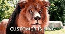 Lion Customer Is King GIF - Lion Customer Is King GIFs