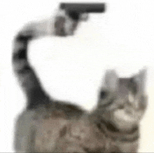 a cat is holding a gun in its paws .
