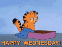 garfield laying in a box with the words happy wednesday