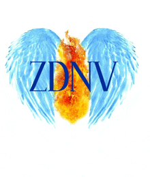 a logo for a company called zdnv with wings