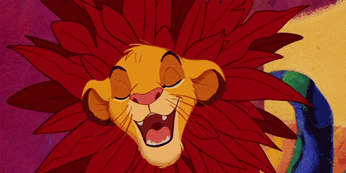 Lion Gif - Simba Lion King Disney - Discover & Share Gifs