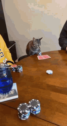 Cat Playing Poker29461 GIF - Cat Playing Poker29461 GIFs