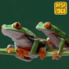 frog fall holding on fail