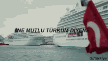 Türk GIF - Turk Bayrak GIFs