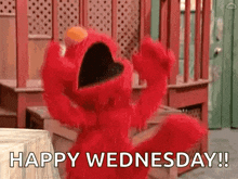 elmo from sesame street is celebrating wednesday with a happy wednesday !