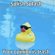 a yellow rubber duck wearing sunglasses is floating in a pool with the caption " splish splash your opinion is trash "