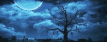 Moonlight Dark GIF