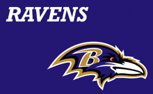 Baltimore Ravens Go Ravens GIF - Baltimore Ravens Ravens Go Ravens GIFs