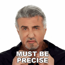 Must Be Precise Sylvester Stallone GIF - Must Be Precise Sylvester Stallone The Family Stallone GIFs