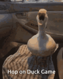 Duck Game GIF - Duck Game GIFs