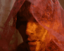 a close up of a woman 's face with a red lace veil on her head