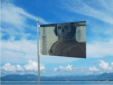 a flag with a picture of a skull on it is flying in the wind