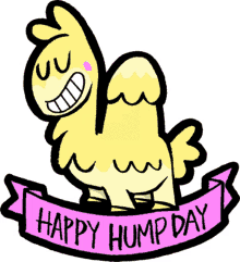 hump day wednesday happy
