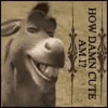 Donkey How Damn Cute Am I GIF - Donkey How Damn Cute Am I Shrek GIFs
