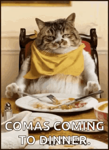 Happy Thanksgiving Fat Cat GIF - Happy Thanksgiving Fat Cat Cats Eating Dinner GIFs