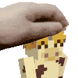 a pixel art of a person wearing a hat and a cow skin .