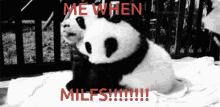 Pandas Milfs GIF - Pandas Milfs Milf GIFs