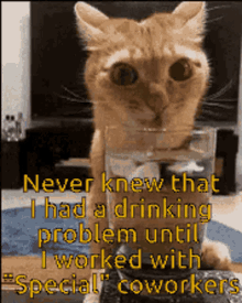 Cat Drinking GIF - Cat Drinking Problem GIFs
